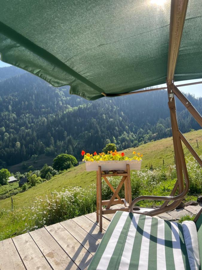 Mitarbi Silence - Cozy Holiday Cottages In Mountains Borjomi Exterior photo